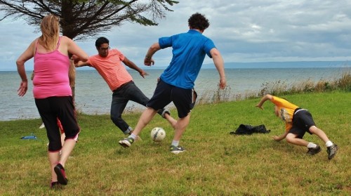 img 9275   copy  500x279 