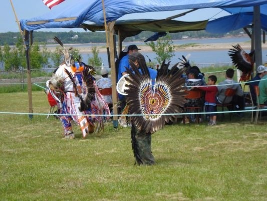 img 1246155544 199 48